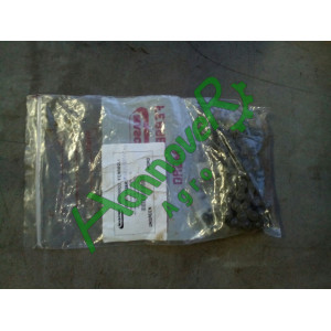 Ланцюг приводна 083, 41 ланка F06080009, Гаспардо, Maschio Gaspardo